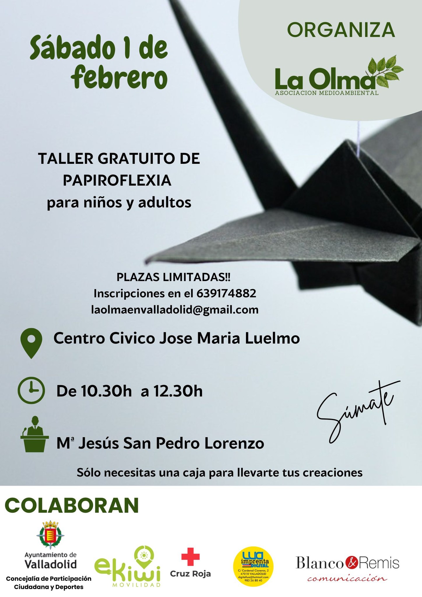 Taller gratuito de Papiroflexia