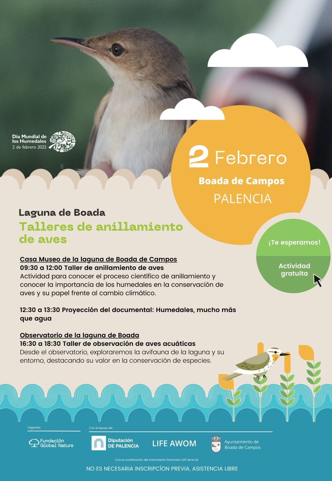 Boada de Campos